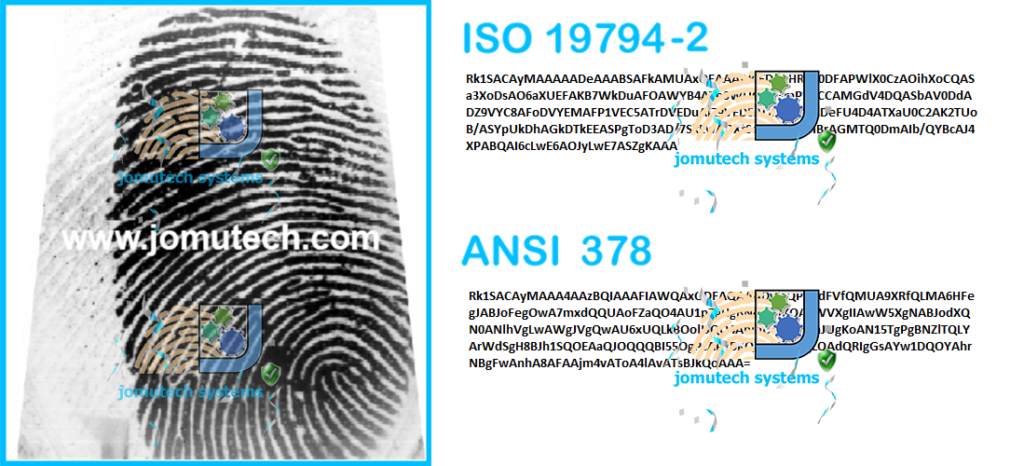 Fingerprint Image Converted to ANSI and ISO Fingerprint Template Data Format 